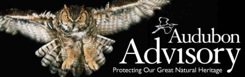 Audubon Advisory