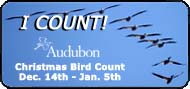 Join a Christmas Bird Count in your area!