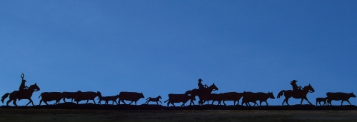 Cattle Drive In Oak Run