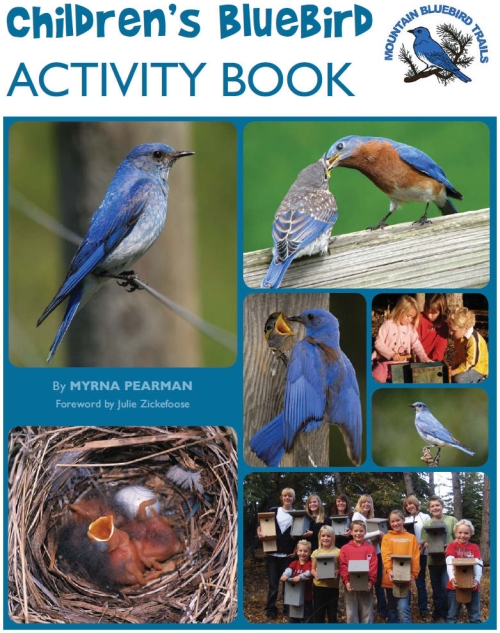 The Childrens Bluebird Activity Book