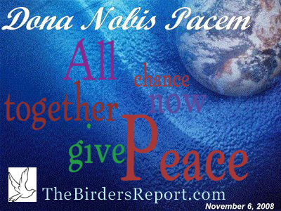 Dona Nobis Pacem - Grant Us Peace