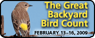 Join the Great Backyard Birdcount