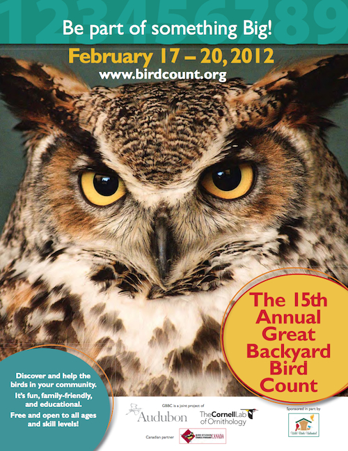 Great Backyard Bird Count