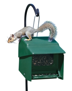 Super Stop-A-Squirrel Super Stop-A-Squirrel
