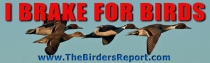 I Brake For Birds