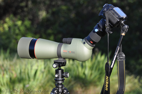 Kowa TSN 833 Prominar Spotting Scope