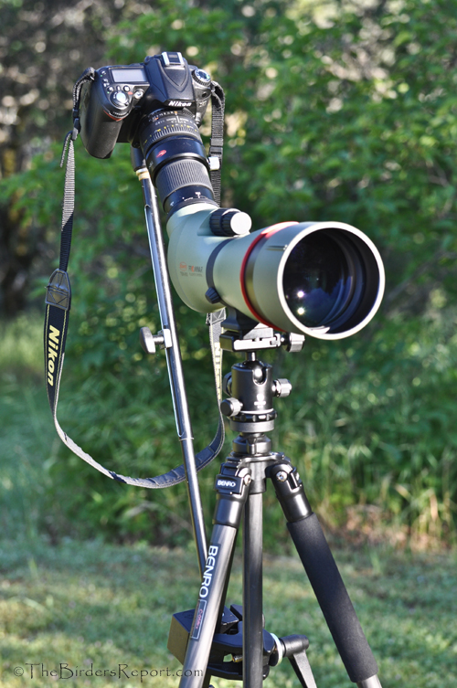 Kowa TSN-883 Digiscoping Setup