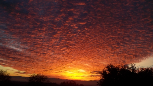 The Most Amazing Sunset Ever