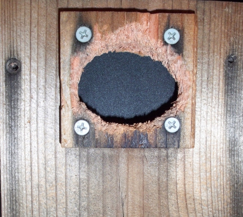 Nest Box Entrance Enlarged By Woodpecker