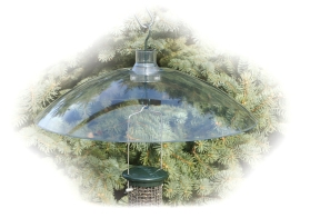 Squirrel Baffle