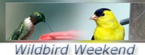 Wild Bird Weekend