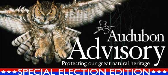 Audubon Conservation Opportunity