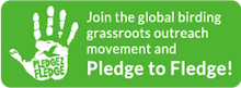 Pledge to Fledge today!