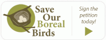 Save Our Boreal Birds