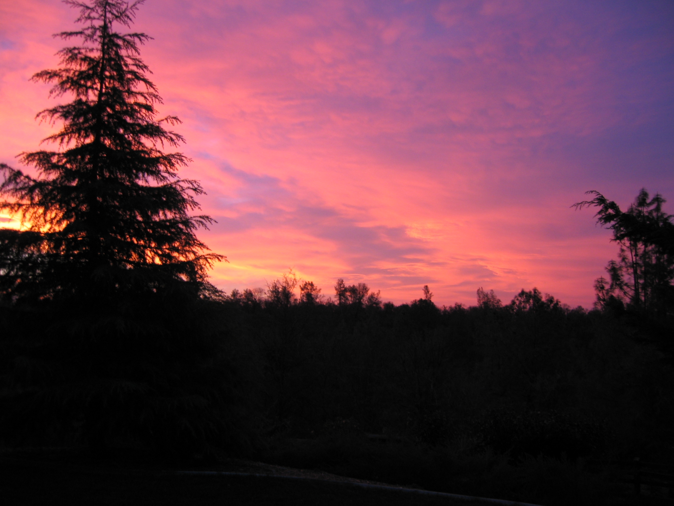 sunrisebackyard