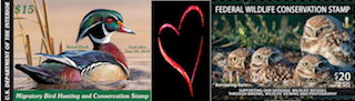 Thumbnail image for The Duck Stamp and The Wildlife Conservation Stamp Living in Symbiosis?
