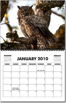 2010 Bird Calendar